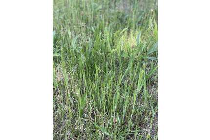 Grundstück zu verkaufen in Fürth 579.800,00 € 595 m²