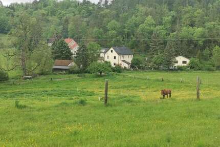 Haus zum Kaufen in Unterwellenborn 475.000,00 € 250 m²