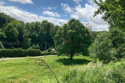 17 zusammenhängende Flurstücke zu verkaufen - Tiefenort Oberrohn