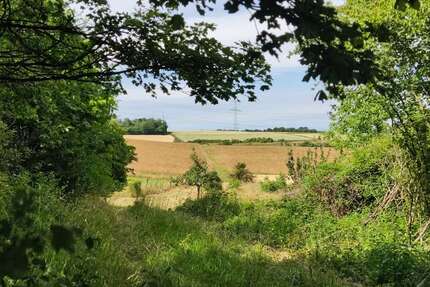 Grundstück zum Mieten in Maintal 2.400,00 € 650 m²