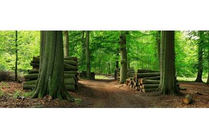 Grundstück in Ohlstadt 182.040,00 € 60680 m²