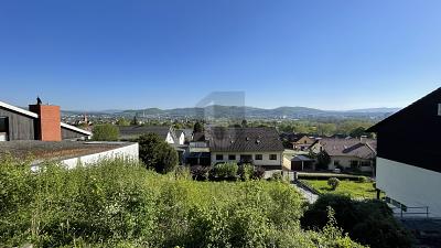 BAUGRUNDSTÜCK MIT TRAUMHAFTER AUSSICHT - Grenzach-Wyhlen
