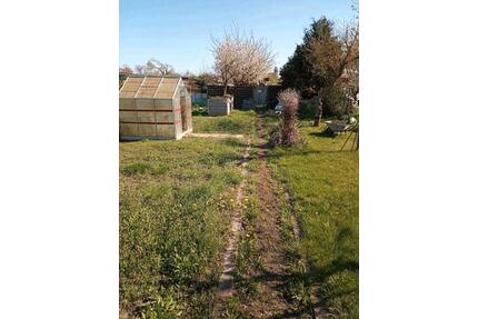 Kleingarten - 1.500,00&nbsp;EUR Kaltmiete, ca.&nbsp; 0,00&nbsp;m&sup2; in Prenzlau (PLZ: 17291)