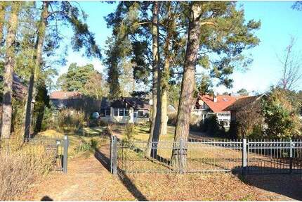 Baugrundstück in Eggersdorf - auch doppelte Fläche erwerblich - Petershagen/Eggersdorf Mitte