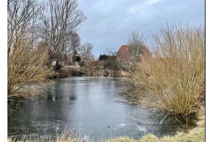 RUHIGER RÜCKZUGSORT AUF DER SONNENINSEL - Fehmarn