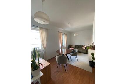 Schöne Wohnung in Neustadt - 940,00&nbsp;EUR Kaltmiete, ca.&nbsp; 42,00&nbsp;m&sup2; in Mainz (PLZ: 55118) Neustadt