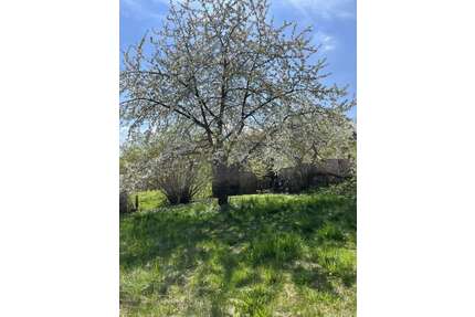 Grundstück zu verkaufen in Bad Griesbach 160.000,00 € 861 m²