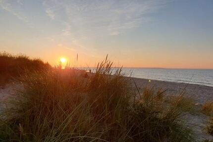 Ferienhaus mit Blick auf die Nordsee - 1. Mai noch frei - - Wangerland