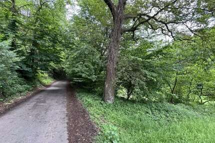 Grundstück in Wuppertal 6.575,00 € 2630 m²
