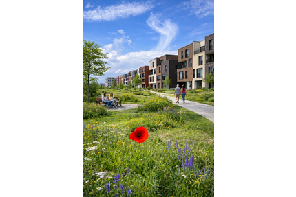 Wohnung zum Kaufen in Hamburg 759.000,00 € 133 m²