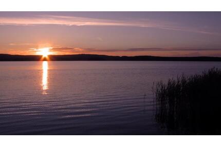 Ferienhaus in Schweden mit Motorboot - Springe