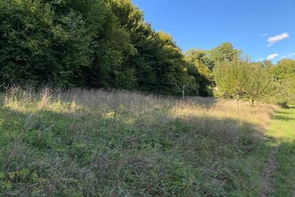 Streuobstwiese - 150,00&nbsp;EUR Kaltmiete, ca.&nbsp; 0,00&nbsp;m&sup2; in Meckesheim (PLZ: 74909)