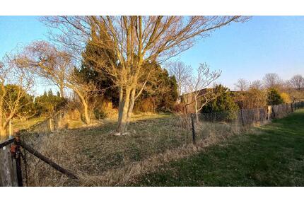 330 m² Garten zum Erholen und Verwirklichen - Limbach-Oberfrohna