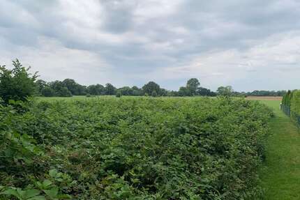 Grundstück zu verkaufen in Kaltenkirchen 70.000,00 € 1707 m²