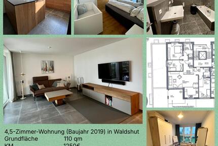 4,5-Zimmer-Wohnung in Waldshut - 1.250,00&nbsp;EUR Kaltmiete, ca.&nbsp; 110,00&nbsp;m&sup2; in Waldshut-Tiengen (PLZ: 79761)