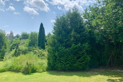 Gemütliche Einliegerwohnung - 750,00&nbsp;EUR Kaltmiete, ca.&nbsp; 85,00&nbsp;m&sup2; in Hergatz (PLZ: 88145)