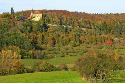 Baugrundstück - 75.000,00&nbsp;EUR Kaufpreis, ca.&nbsp; 0,00&nbsp;m&sup2; in Schlüchtern (PLZ: 36381) Elm