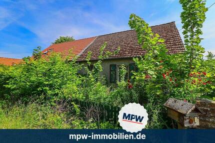 Highlight Seeblick! Perfekt für Natur- & Pferdeliebhaber - Grünheide (Mark) Kagel