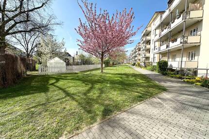 Beschauliche 2-Zimmer-Wohnung mit Balkon und Aufzug in den Seidnitzer Gärten - Dresden Tolkewitz/Seidnitz-Nord