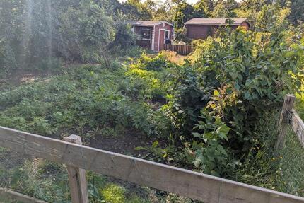 kleingarten Schrebergarten - 1.234,00&nbsp;EUR Kaltmiete, ca.&nbsp; 0,00&nbsp;m&sup2; in Bredstedt (PLZ: 25821)