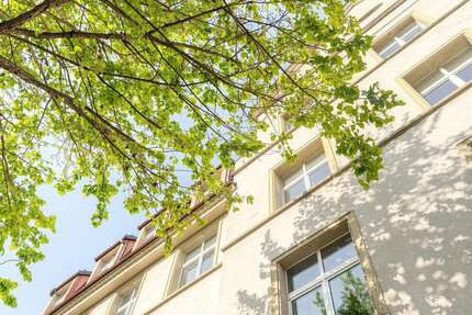 Wohnung zum Mieten in Dresden 1.699,00 € 147 m²