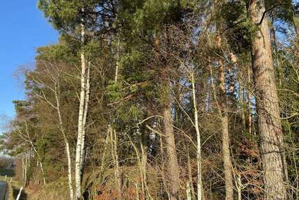 Grundstück in Tirschenreuth Lengenfeld 159.280,00 € 39820 m² - Tirschenreuth / Lengenfeld