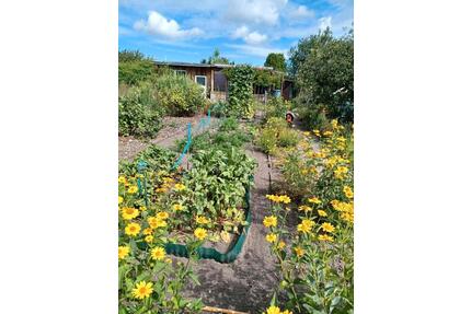 Biggi Klossi - 500,00&nbsp;EUR Kaltmiete, ca.&nbsp; 0,00&nbsp;m&sup2; in Lauta (PLZ: 02991)