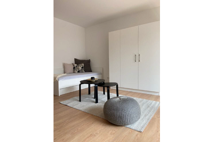 Wohnung zum Mieten in Offenbach 700,00 € 21 m²
