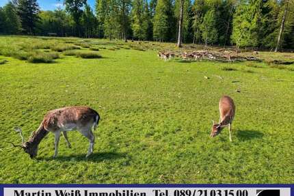 Grundstück zu verkaufen in Grünwald 1.690.000,00 € 800 m²