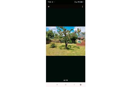 Kleingarten Pachtgarten Garten - 2.500,00&nbsp;EUR Kaltmiete, ca.&nbsp; 0,00&nbsp;m&sup2; in Eisenach (PLZ: 99817)