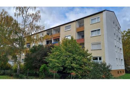 Kleine gefplegte Wohnung mit Garage und Stellplatz - Ingelheim