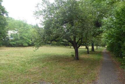 Entwicklungsfläche für Wohnbebauung und mehr! - Scheinfeld