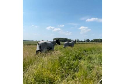 Selbstversorger Pferdehof Bauernhof Leben mit Tieren - Schwanewede