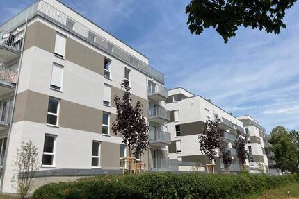 Wohnen im Dachgeschoss in Heilbronn Böckingen - Dachterrasse