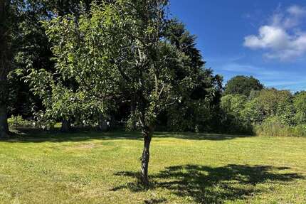 Grundstück zu verkaufen in Benz 100.000,00 € 582 m²