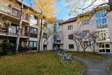Stadtoase (64qm + Hobbyraum) im Grünen- VON PRIVAT, ab sofort - München Pasing-Obermenzing