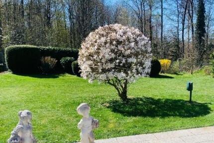 ✅ Wohnung f. hilfsbereite Mitbewohnerin respektvolles Miteinander - Pforzheim Eutingen