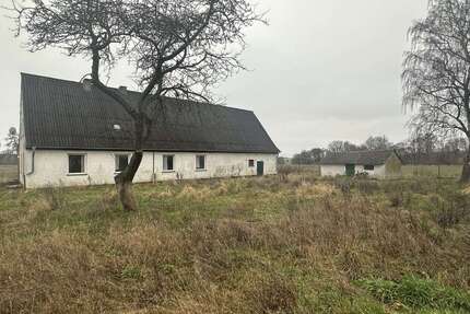 Grundstück zum Mieten in Samtens 18.000,00 € 808 m²