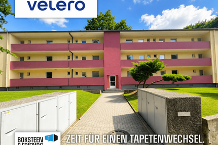 Wohnung zum Mieten in Gelsenkirchen 300,00 € 43 m²