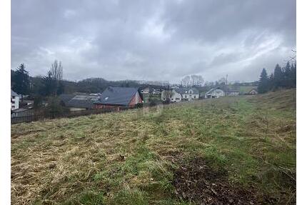 GROßES GRUNDSTÜCK, VOLL ERSCHLOSSEN, ATTRAKTIVER PREIS - Utscheid