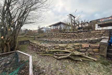 Garten am Teich - 2.650,00&nbsp;EUR Kaltmiete, ca.&nbsp; 0,00&nbsp;m&sup2; in Wismar (PLZ: 23966) Altstadt