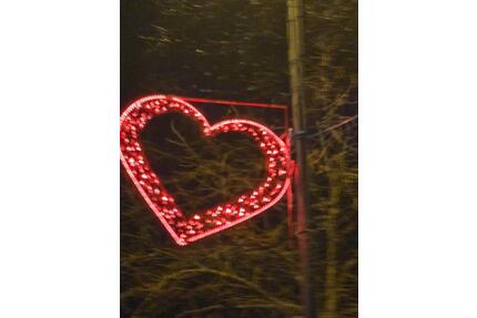 3-Familienhaus in Horn-Bad Meinberg zu verkaufen