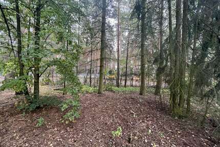 Grundstück zu verkaufen in Beelitz Fichtenwalde 150.000,00 € 1147 m² - Beelitz / Fichtenwalde