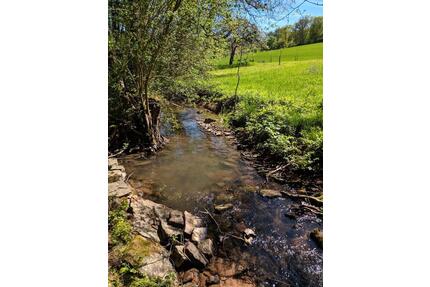 Garten am Biberbach Kleingarten Freizeitgrundstück - Neckargerach