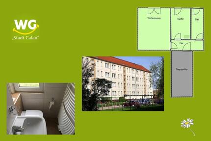 1 Zimmer barrierearme Dusche - 195,00&nbsp;EUR Kaltmiete, ca.&nbsp; 30,00&nbsp;m&sup2; in Calau (PLZ: 03205)