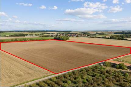Grundstück in Erlach 622.000,00 € 65481 m²