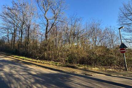 schönes Baugrundstück in ruhiger, grüner Lage - St. Ingbert Rohrbach