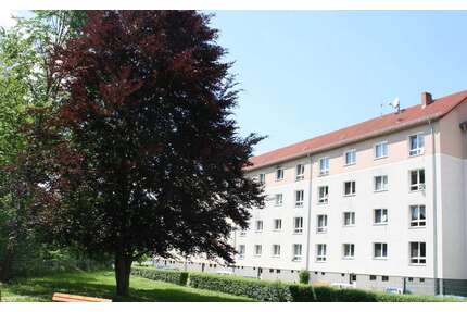 Wohnung zum Mieten in Pirna 390,72 € 59.2 m²