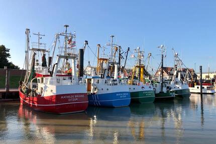 Schöne Ferienwohnung in Ditzum Dollart Ostfriesland Ostern frei! - Jemgum