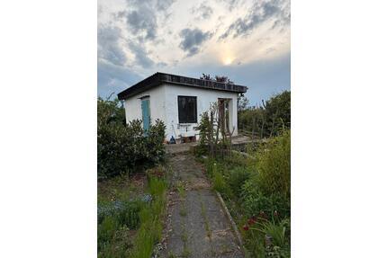 Kleingarten im KGV Lünischhöhe - 290,00&nbsp;EUR Kaltmiete, ca.&nbsp; 0,00&nbsp;m&sup2; in Braunschweig (PLZ: 38106) Nordstadt